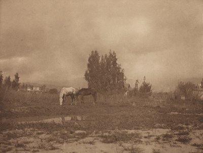 Pasadenan maisema tekijältä William B. Post