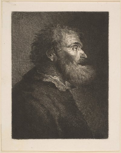 Vanha mies profiilissa, 1761. tekijältä William Baillie