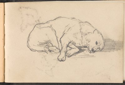 Luonnos nukkuvasta koirasta, noin 1879 tekijältä William Barnes Wollen