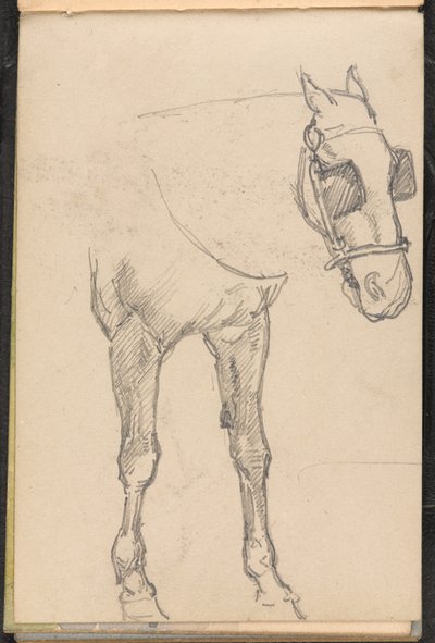 Luonnos hevosesta vilkkuvilla, 1879 noin tekijältä William Barnes Wollen