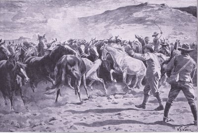 Hevosten vangitseminen Brandwaterin alueella lähellä Fouriesburgia: joukon kokoaminen, kuva Pretorian jälkeen: Sissisota, 1902 tekijältä William Barnes Wollen