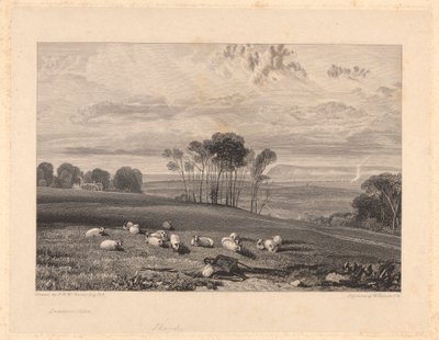 Crowhurst, Sussex tekijältä William Bernard Cooke