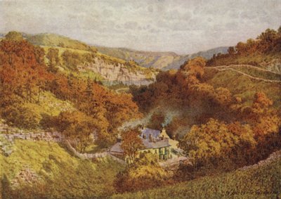 Katse alas Miller