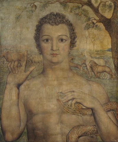 Adam nimeää pedot tekijältä William Blake