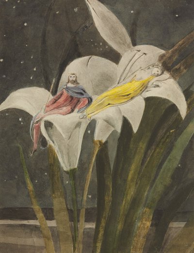 Oberon ja Titania liljalla, noin 1795 (lyijykynä, tussi, muste, vesiväri paperille). tekijältä William Blake