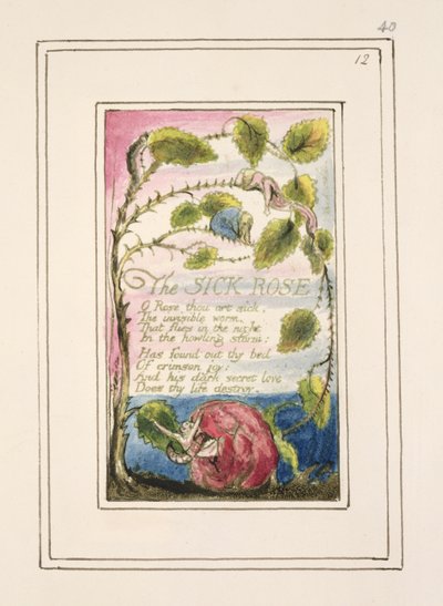 P.124-1950.pt40 Sairas ruusu: levy 40 julkaisusta Songs of Innocence and of Experience (kopio R) n. 1802-08 (etsaus, muste ja wc) tekijältä William Blake