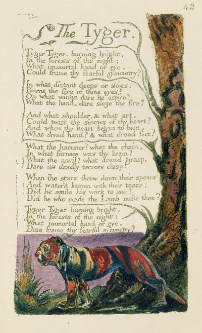 Runon nimeltä "Tiikeri" on kirjoittanut William Blake tekijältä William Blake