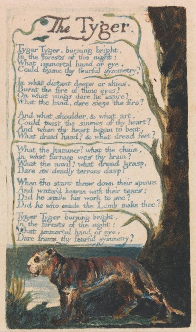 Viattomuuden ja kokemuksen lauluja, levy 42, Tyger (Bentley 42) tekijältä William Blake
