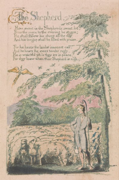 Viattomuuden ja kokemuksen lauluja, levy 4, Paimen (Bentley 5) tekijältä William Blake