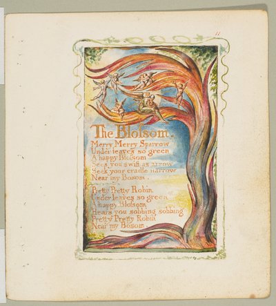 Songs of Innocence and of Experience: The Blossom: Merry Merry Sparrow, ca. 1825. tekijältä William Blake