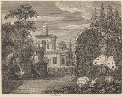 Perhonen ja etana tekijältä William Blake