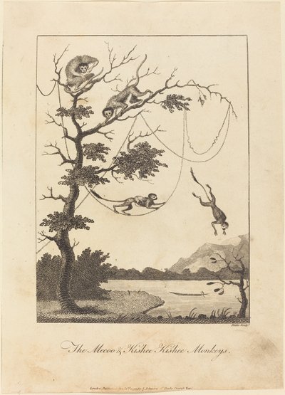 The Mecoo & Kisbee Kishee Monkeys, 1793. tekijältä William Blake