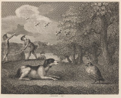 Setting-koira ja Partridge tekijältä William Blake