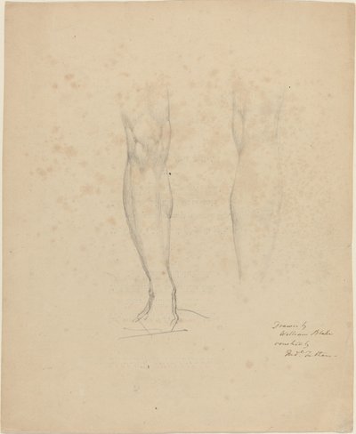 Kaksi jalkaa tekijältä William Blake