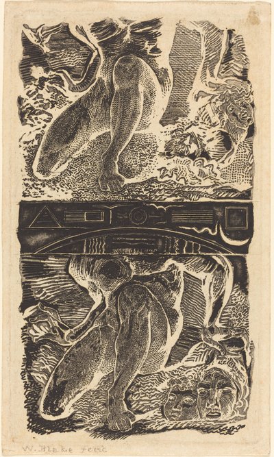 Tuntematon aihe (Antakaa hänen katsoa ylös taivaaseen ja nauraa kirkkaassa ilmassa) tekijältä William Blake