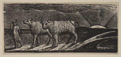 Unyokd Heifers, Loitering Homeward, kirjasta Thorntons Pastorals of Vergil, 1821. tekijältä William Blake