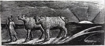Unyoked Hifers Lootering Homeward, kuvitus tohtori Thorntonin "The Pastorals of Vergil" tekijältä William Blake