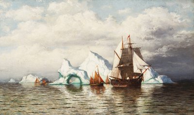 Jäävuorten joukossa Labradorin rannikko, tekijältä William Bradford