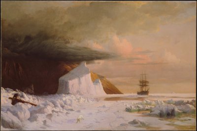 tekijältä William Bradford
