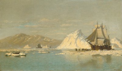  tekijältä William Bradford