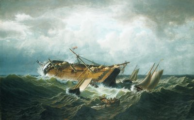  tekijältä William Bradford