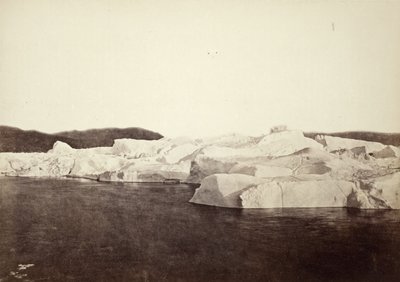  tekijältä William Bradford