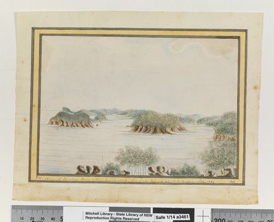 Opp. s. 93. `SW. Broken Bay New South Walesin käsivarsi sisäänkäynnin saarelta. Syys 1789