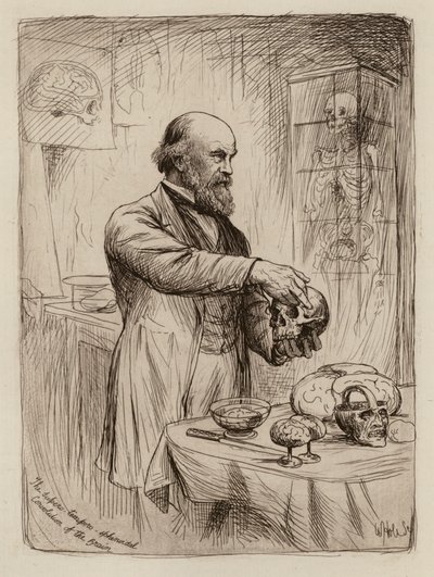 William Turner, anatomian professori (kaiverrus) tekijältä William Brassey (after) Hole