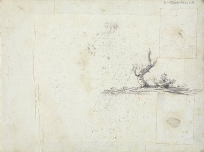 etukannen sisäpuoli: Luonnos puusta (käänteinen) tekijältä William Brockedon