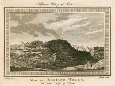 Näkymä Bagnigge Wellsiin, lähellä Battle Bridgeä, Islington, Lontoo tekijältä William Capon