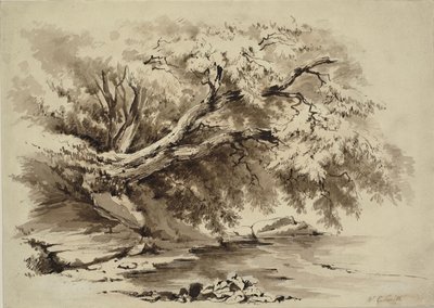 Maisema puilla järven yläpuolella tekijältä William Collingwood Smith
