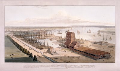 Brunswick Dock ja East India Dock, Poplar, Lontoo, 1803 tekijältä William Daniell