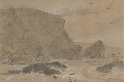 Samphire Rock, St. Agnes, Cornwall tekijältä William Daniell