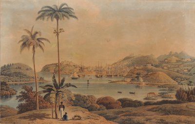 Näkymä St. Georgen ja Richmond Heightsin kaupungista Grenadan saarella, everstiluutnantti Wilsonin ottama lahdelta, 1819 tekijältä William Daniell