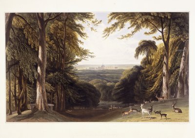 Windsorin linna Deer Parkista, n. 1827-1829 tekijältä William Daniell