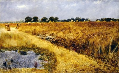 Maissipelto (öljyä aluksella) tekijältä William Davis