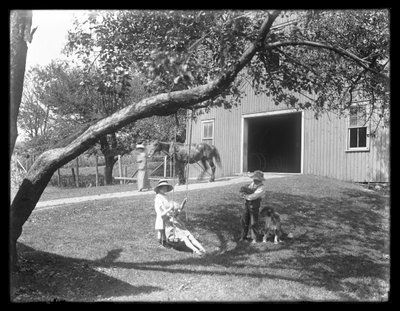 McCready-perheen lapset koiran ja koiranpennun kanssa ovat kokoontuneet köysikeinun ympärille ladon ulkopuolella, noin 1913. tekijältä William Davis Hassler