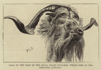 Ashantee-kampanjassa kuolleen Royal Welsh Fusiliersin vuohen päällikkö tekijältä William Edward Atkins