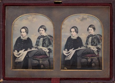 Kahden pojan muotokuva, 1850-luku. tekijältä William Edward Kilburn