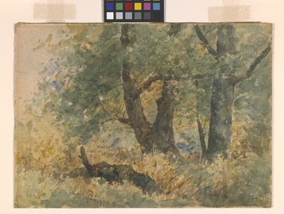 Metsämaisema (akvarelli) tekijältä William Forsyth