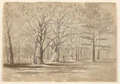 College Woods tekijältä William Fowler Hopson
