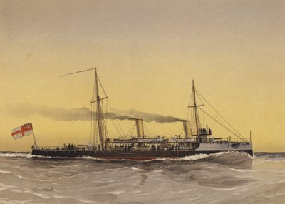 HMS Speedwell, torpedotykkivene tekijältä William Frederick Mitchell