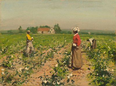 Puuvillan poiminta, c. 1890. tekijältä William Gilbert Gaul