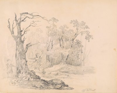 Kohtaus Scottilta tekijältä William Guy Wall