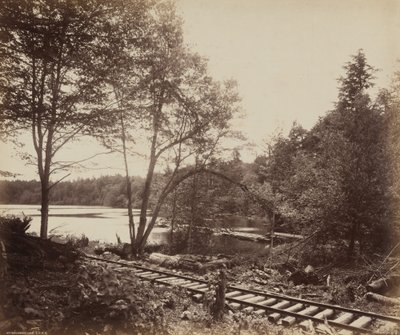 Beechwood Lake tekijältä William H. Rau