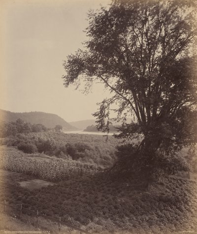 Kuvankaunis Susquehanna, lähellä Laceyvilleä tekijältä William H. Rau