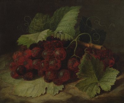 Viinirypäleiden asetelma tekijältä William Hammer
