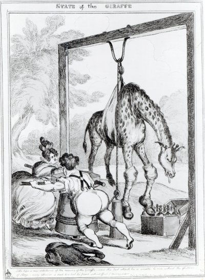 Kirahvin tila, 1829 tekijältä William Heath