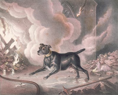 Lontoon palomiehen koira tekijältä William Heath