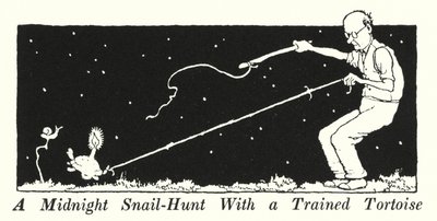 Keskiyön etananmetsästys koulutetun kilpikonnan kanssa (litho) tekijältä William Heath Robinson